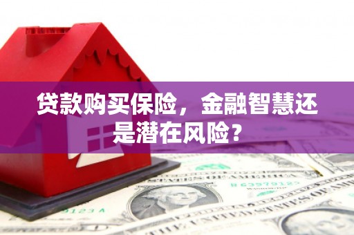 顺德贷款购买保险，金融智慧还是潜在风险？