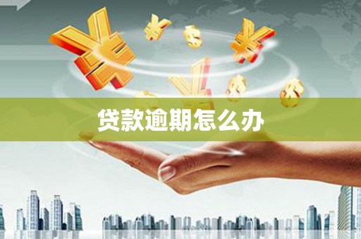 顺德贷款逾期怎么办