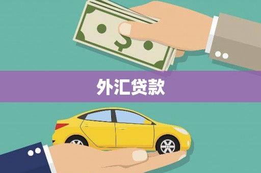 顺德外汇贷款