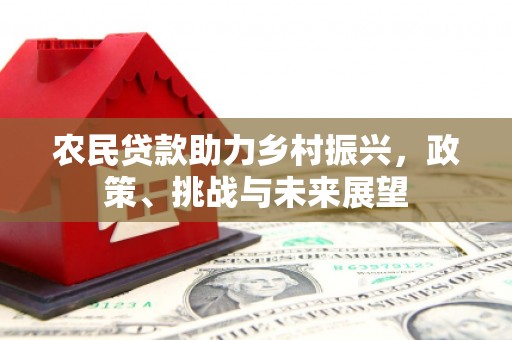 顺德农民贷款助力乡村振兴，政策、挑战与未来展望