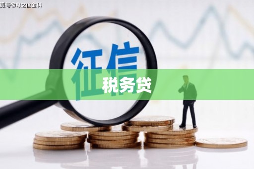 顺德税务贷