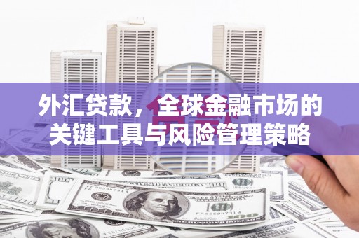 顺德外汇贷款，全球金融市场的关键工具与风险管理策略