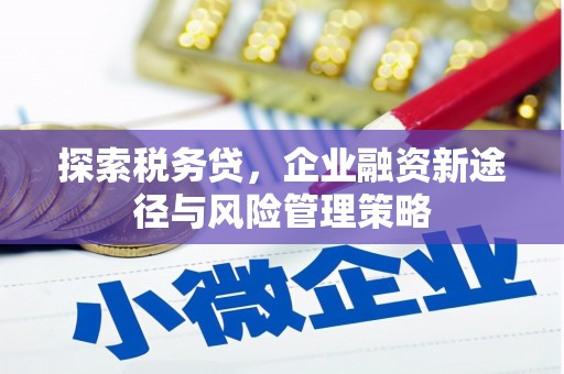 顺德探索税务贷，企业融资新途径与风险管理策略