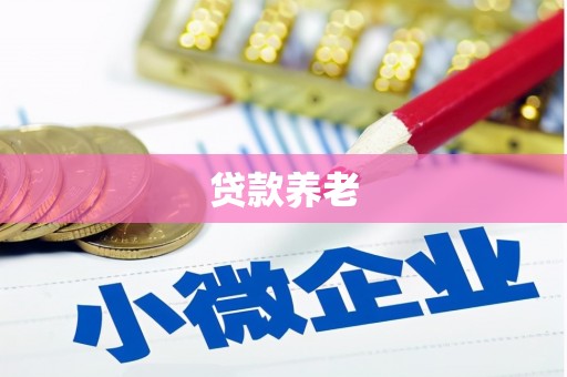 顺德贷款养老