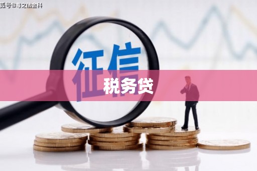 顺德税务贷
