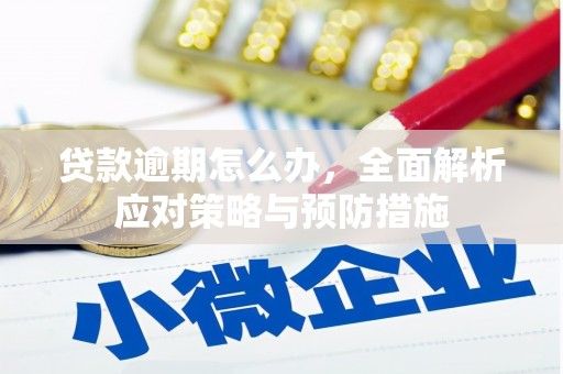 顺德贷款逾期怎么办，全面解析应对策略与预防措施