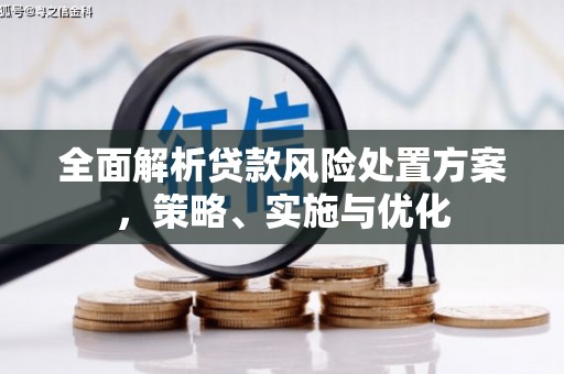 顺德全面解析贷款风险处置方案，策略、实施与优化