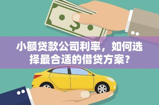 顺德小额贷款公司利率，如何选择最合适的借贷方案？