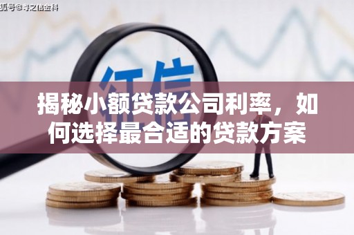 顺德揭秘小额贷款公司利率，如何选择最合适的贷款方案