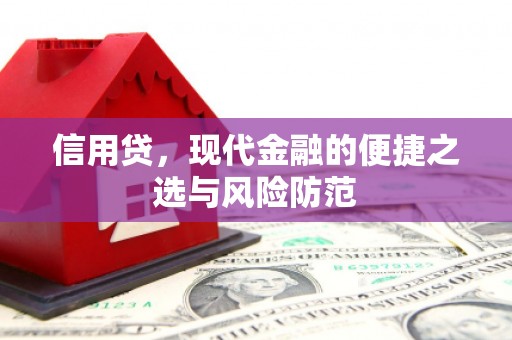 顺德信用贷，现代金融的便捷之选与风险防范
