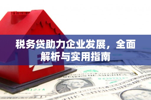 顺德税务贷助力企业发展，全面解析与实用指南