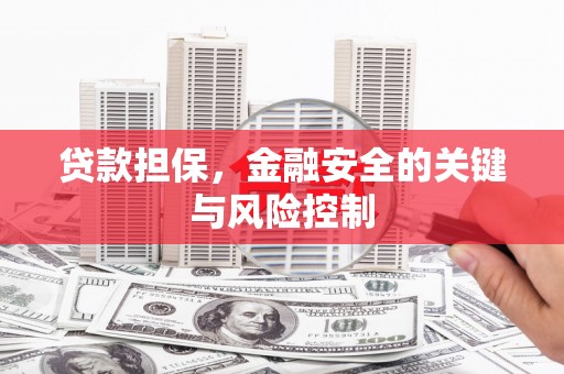 顺德贷款担保，金融安全的关键与风险控制
