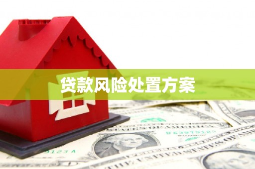 顺德贷款风险处置方案